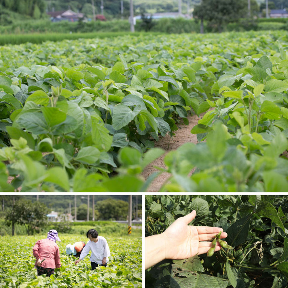 싸리재 서리태가루(스틱포장) 250g